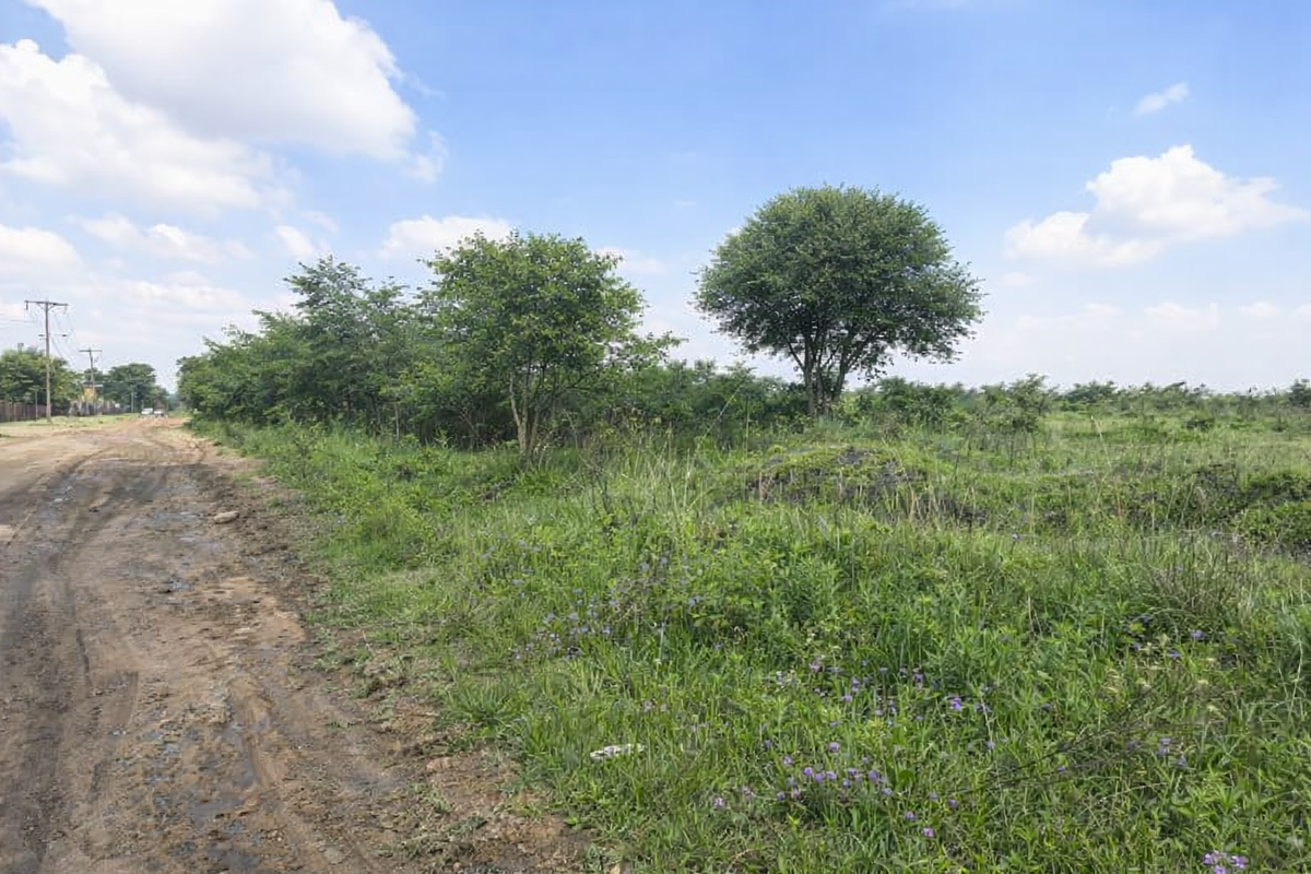 Vacant Land For Sale - Photo 3