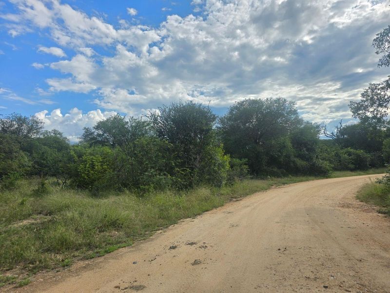 Rare & Private Riversdale Stand in Moditlo Wildlife Estate - Photo 6