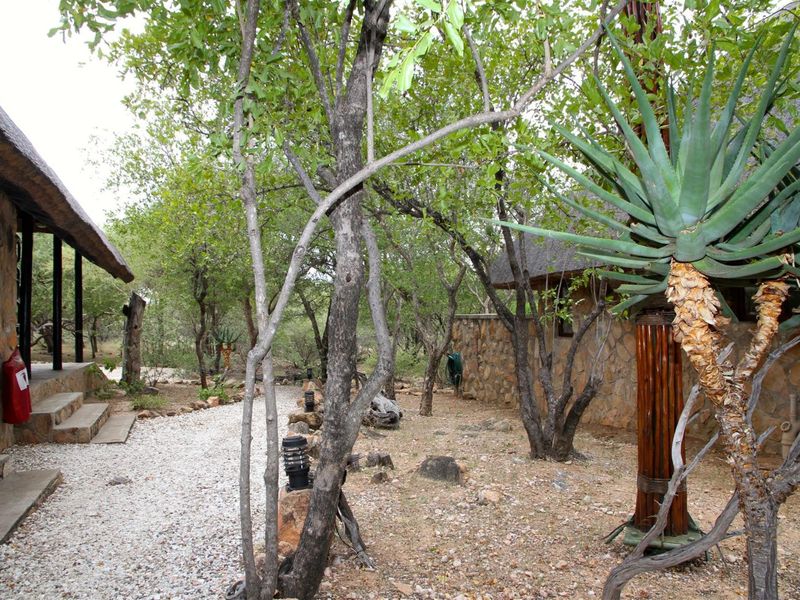 Furnished bush home with stunning mountain view - Photo 4