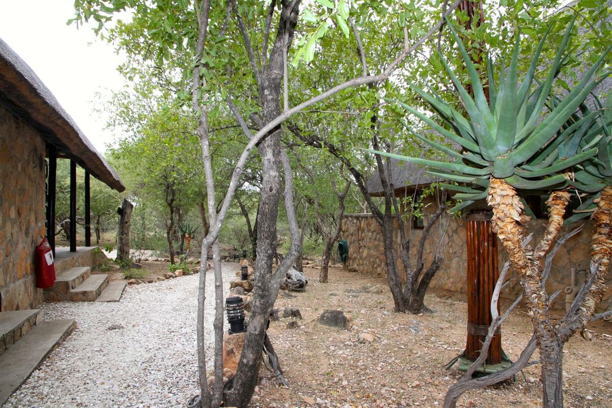 Furnished bush home with stunning mountain view - Photo 4