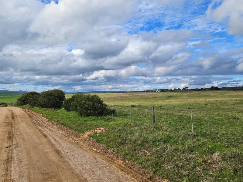 Get back-to-basics in beautiful B-Bos - Photo 5