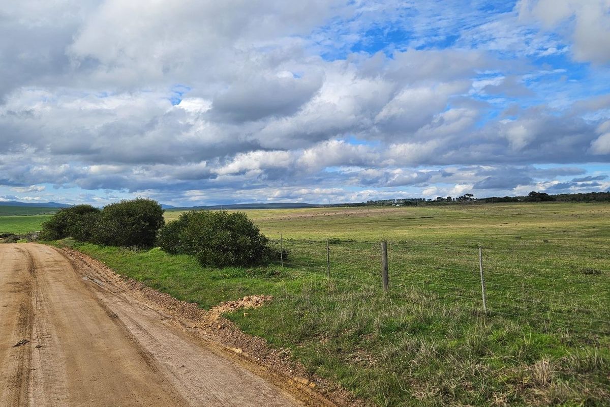 Get back-to-basics in beautiful B-Bos - Photo 5