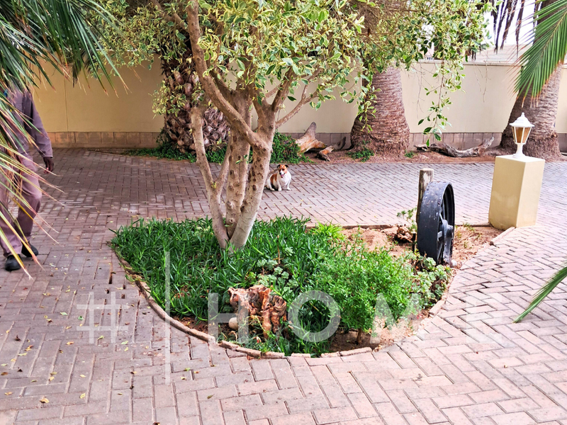 Hage Heights, Swakopmund #PropertyForSale N$8 700 000 - Photo 3