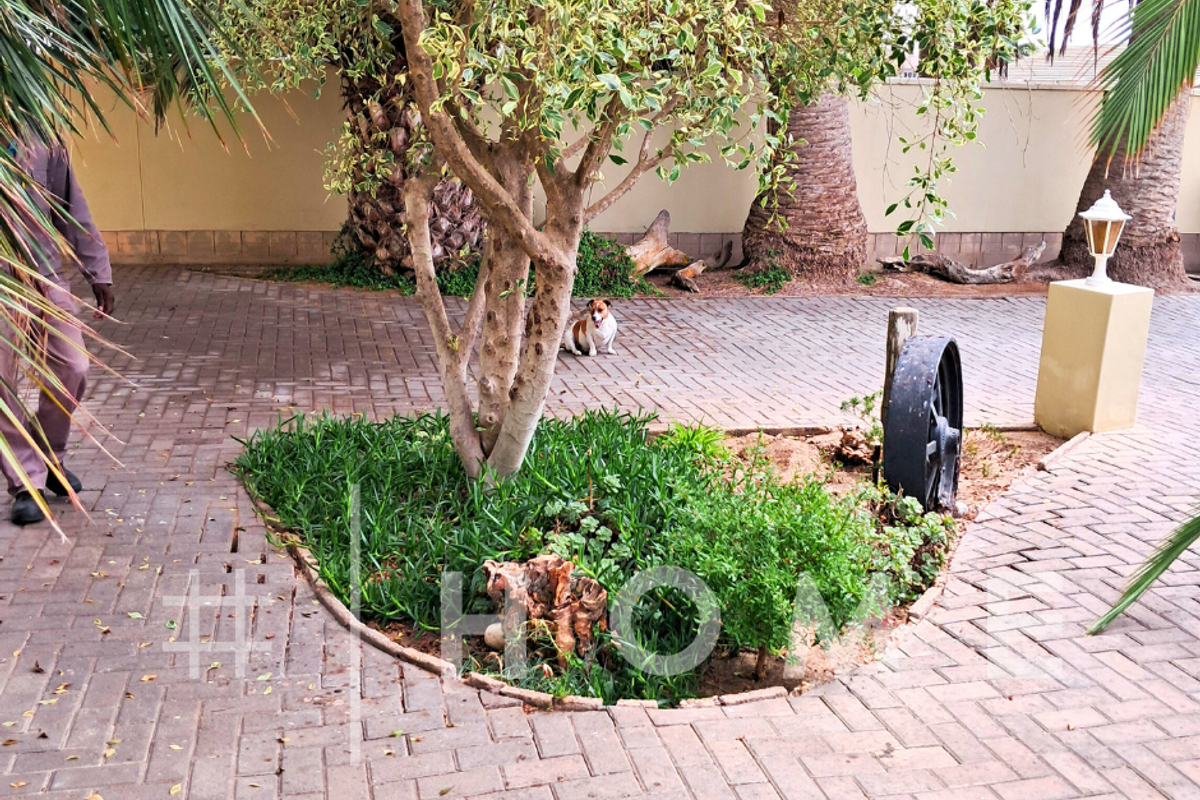 Hage Heights, Swakopmund #PropertyForSale N$8 700 000 - Photo 3