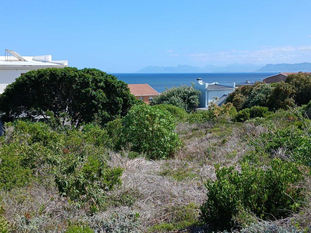 Almost the same as the previous photo - as from our Plot. Hermanus coastline at back.