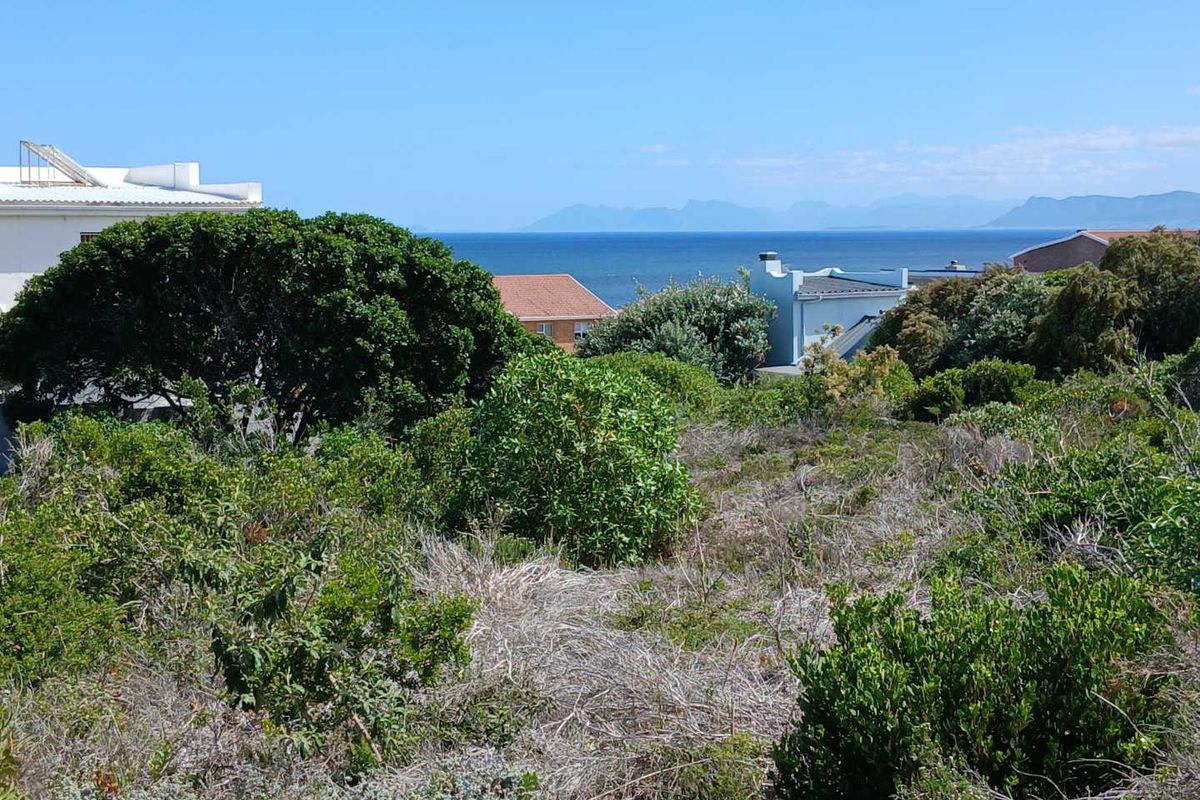 "EVERYTHING I DO, I'LL DO IT FOR YOU" (BRYAN ADAMS) - Photo 5