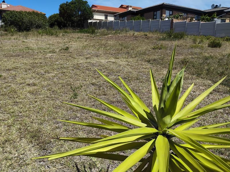 Charming Vacant Stand in Reebok, Groot Brak River - Photo 6