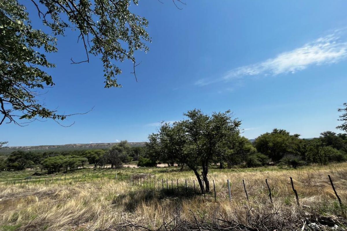 Immerse yourself in the charm of rural living – our stock farm invites you to embrace a life surrounded by nature, livestock, and the simple joys of the country - Photo 3