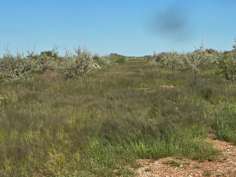 Beautiful Farm in The South Of Namibia For Sale - Photo 5