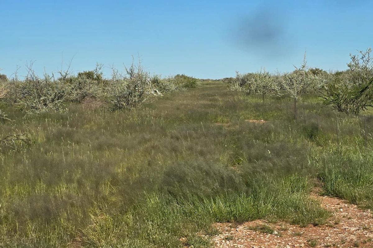 Beautiful Farm in The South Of Namibia For Sale - Photo 5
