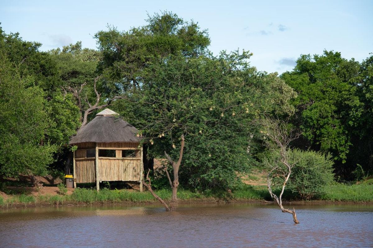 A rustic thatched-roof hide or viewing structure situated on the edge of a natural water feature, surrounded by established indigenous trees and vegetation.