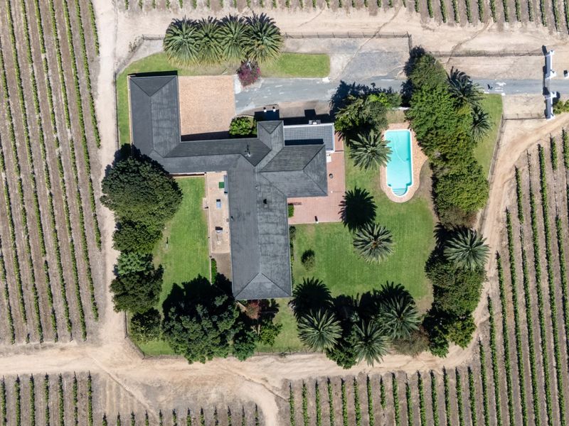 Aerial view of a farm property featuring a main residence, a swimming pool, and extensive surrounding vineyards.