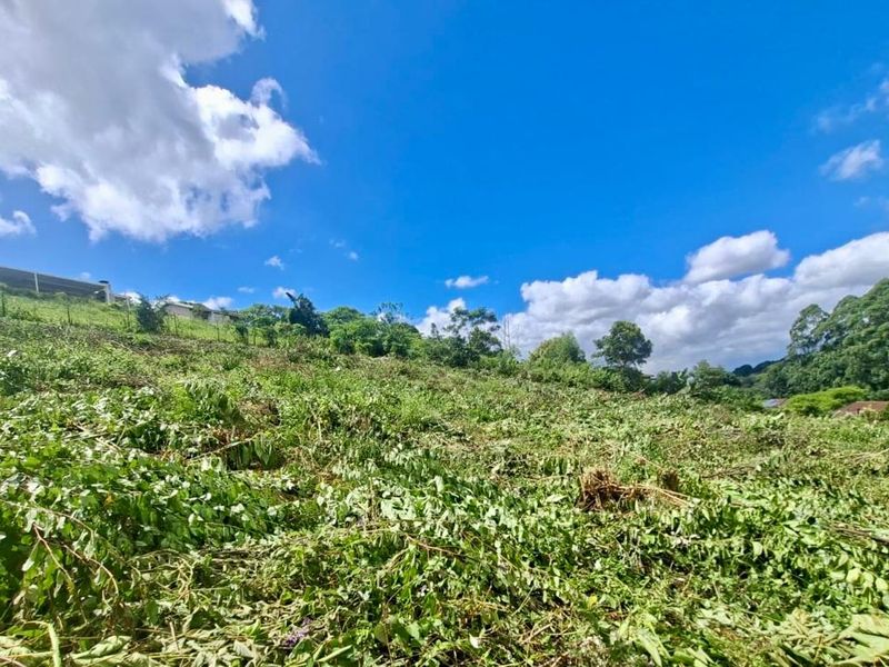 Prime Vacant Land Opportunity - Photo 8