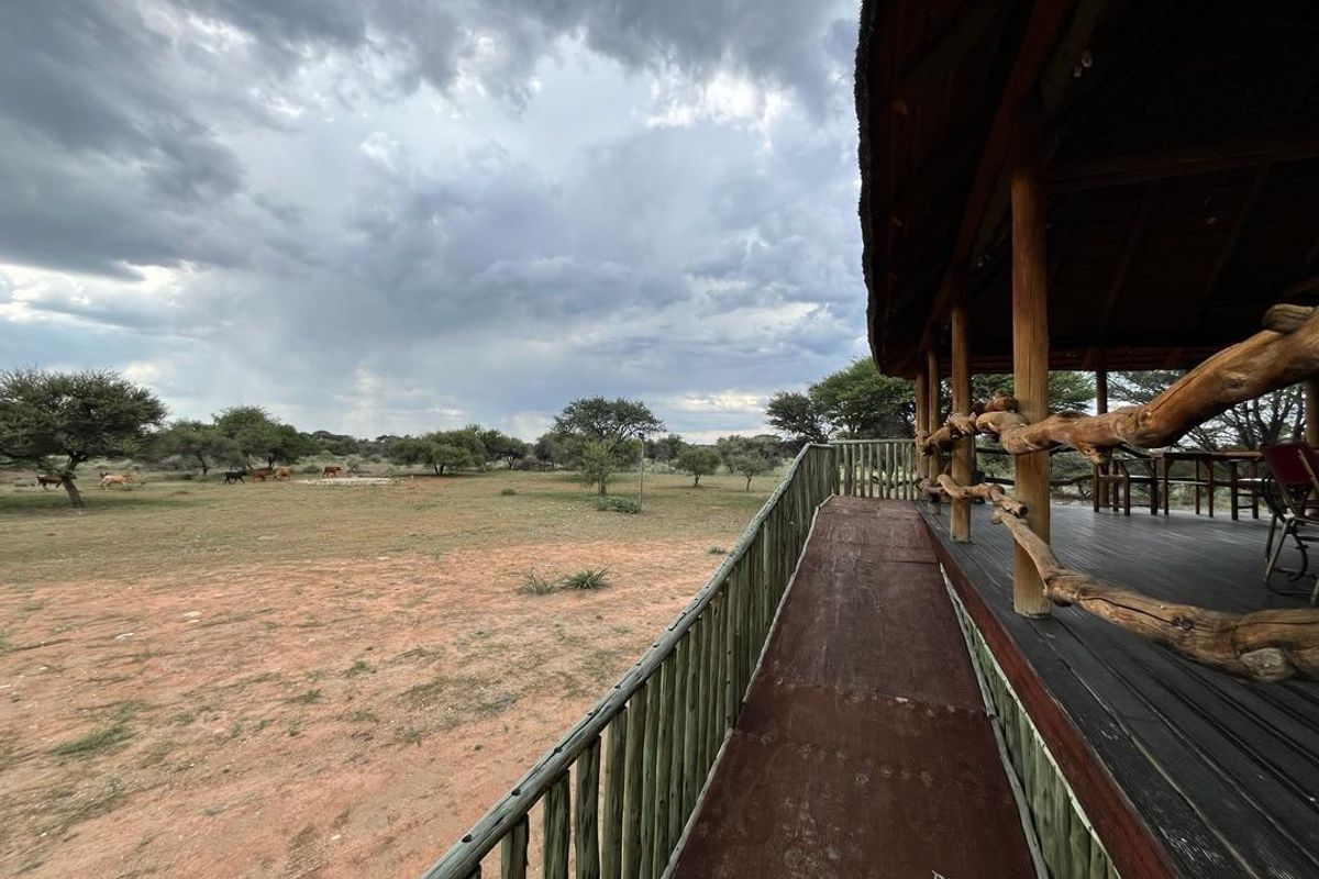 Explore the vast potential of our stunning Hunting Lodge & Cattle Farm! - Photo 2