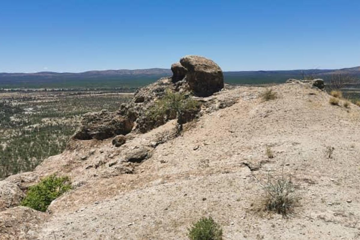 Escape to nature with this incredible 2500Ha farm — the perfect investment for a lodge. - Photo 2