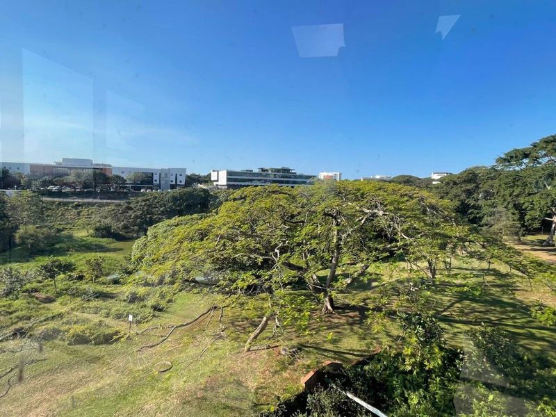 Entire First Floor Corporate Office Opportunity | 1,679m2 | Glasshouse Office Park, Umhlanga - Photo 1