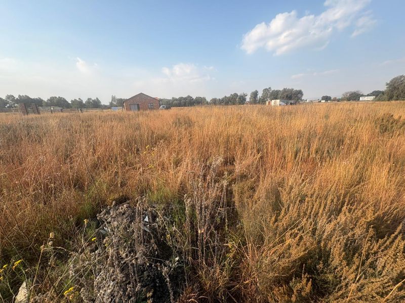 Vacant Land with Endless Potential - Photo 9