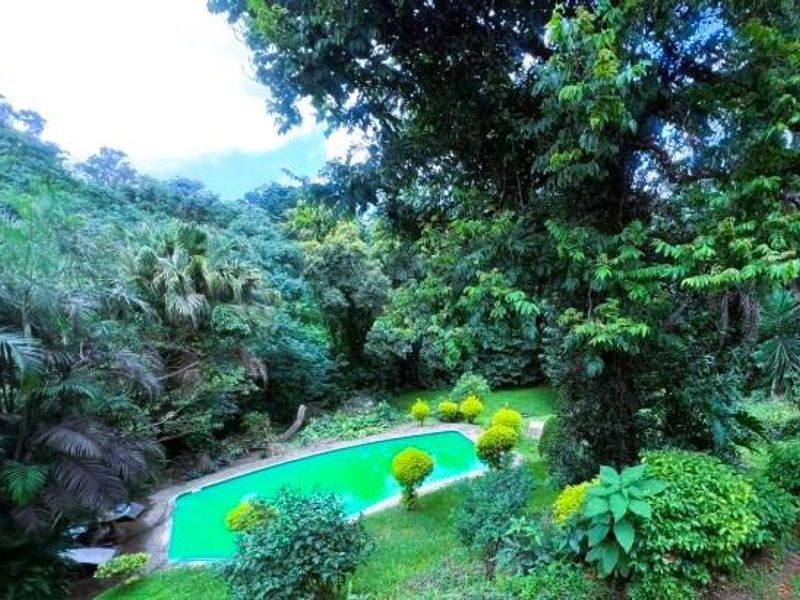 "Discover Your Dream Home in Berea West, Westville!" 2. "Luxurious Family Living Awaits in Westville!" 3. "Berea West Beauty: Spacious Family Home for Sale!" - Photo 4