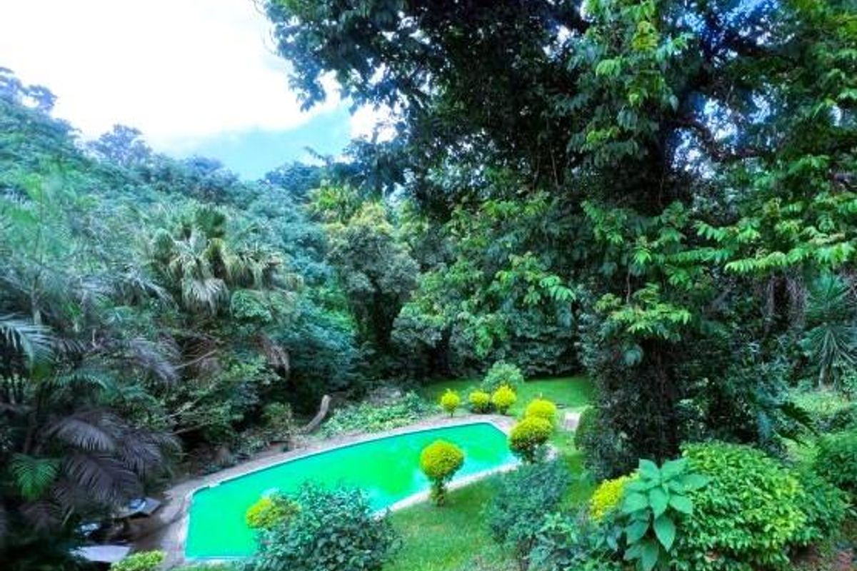 "Discover Your Dream Home in Berea West, Westville!" 2. "Luxurious Family Living Awaits in Westville!" 3. "Berea West Beauty: Spacious Family Home for Sale!" - Photo 4