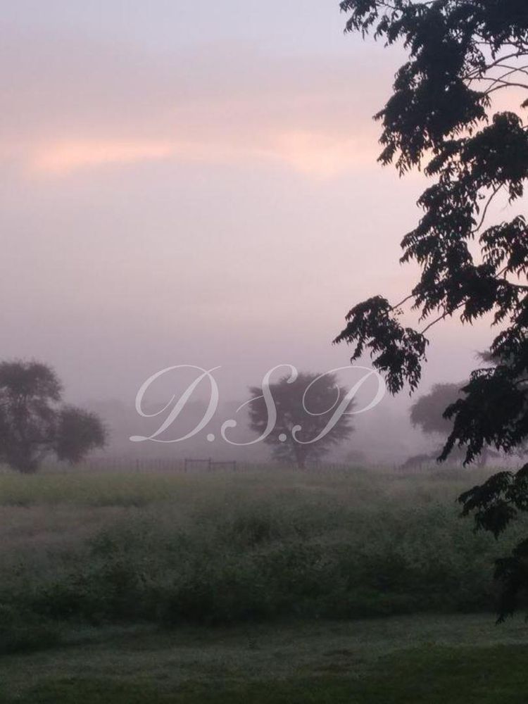farm view
