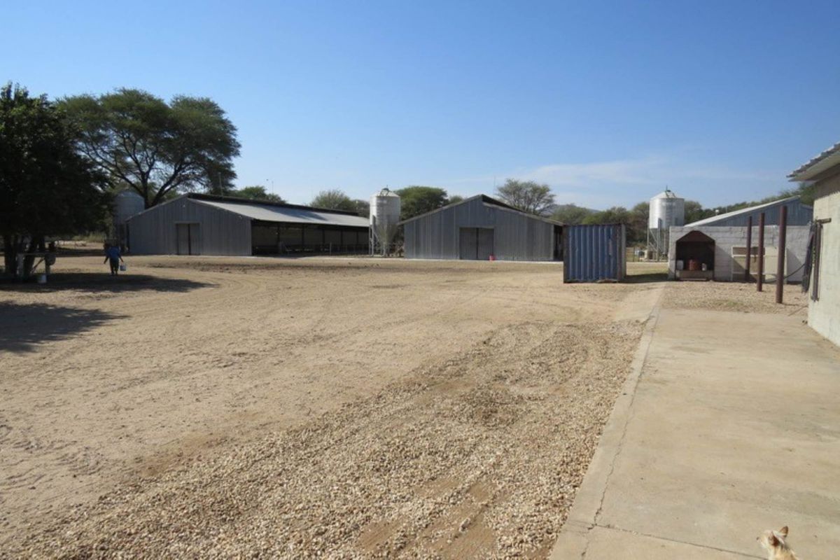 Exterior view of a small holding featuring multiple metal-clad agricultural outbuildings, silos, and a large open yard area.