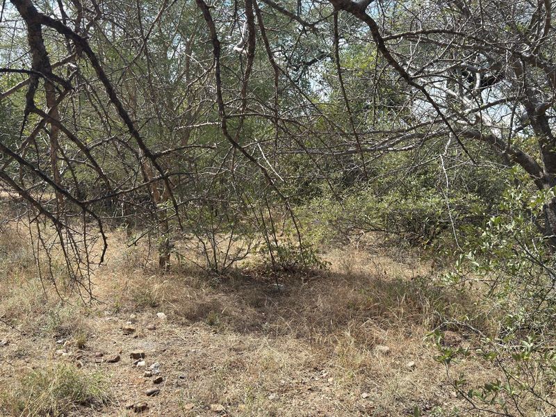 Lovely Bushveld Stand in Elephant Rock!! - Photo 3