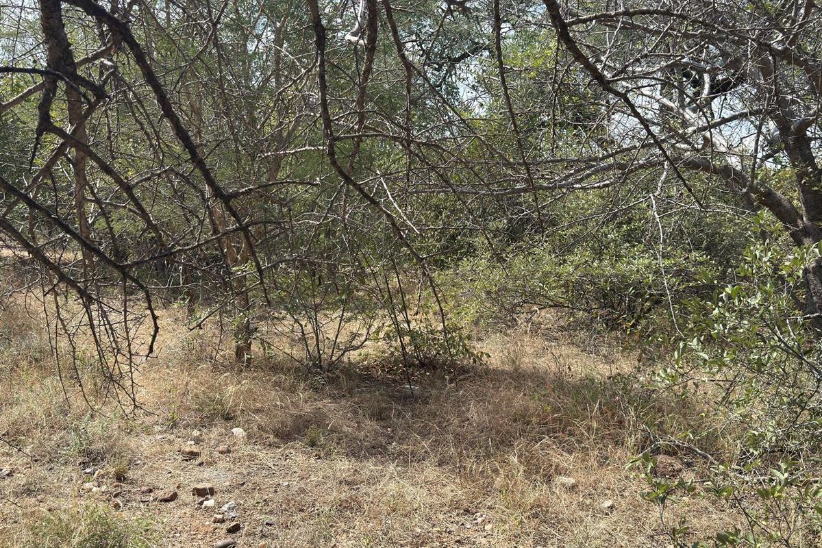 Lovely Bushveld Stand in Elephant Rock!! - Photo 3