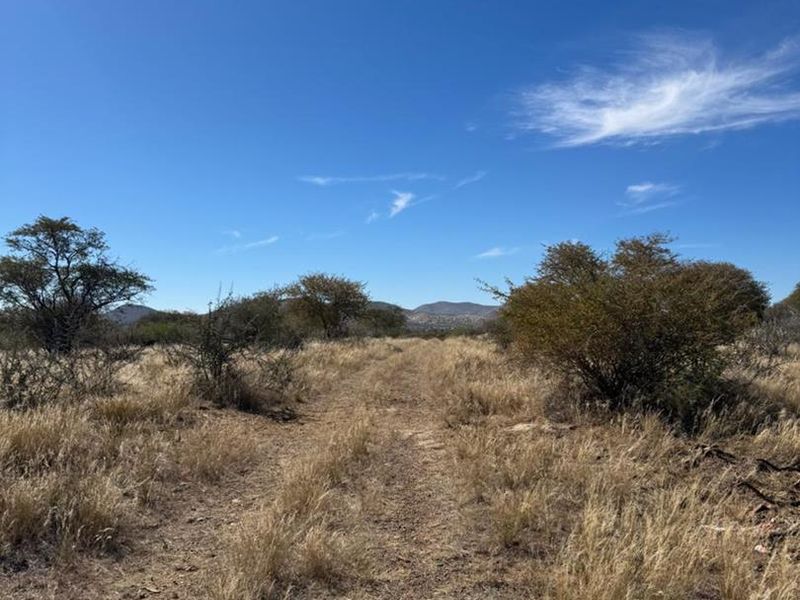 An expansive view of the natural veld landscape on the small holding, featuring indigenous shrubs and a dirt access track.