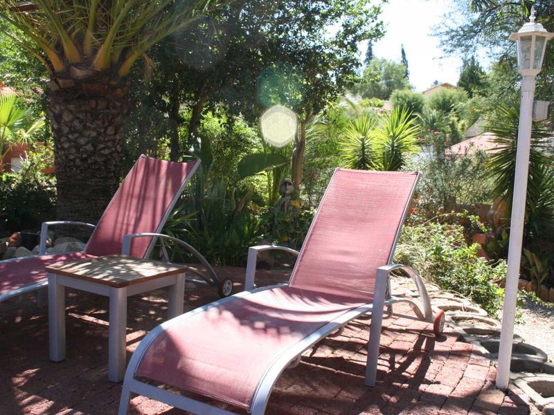 Well Established Guesthouse - Photo 4