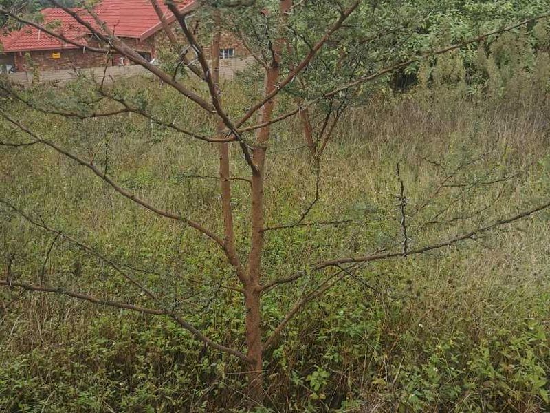 Pan Handle stand in Erasmuskloof for sale. - Photo 7