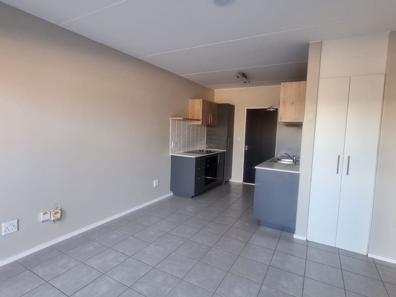 An open-plan living and kitchen area featuring modern grey cabinetry, built-in appliances, tiled flooring, and neutral wall finishes.