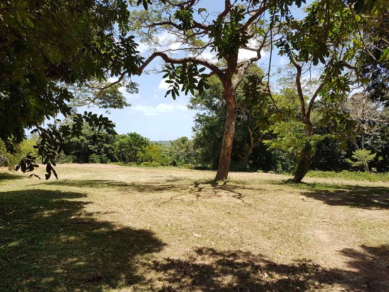 Unleash Your Vision: Prime Development Opportunity on the Shores of Lake St. Lucia - Photo 9