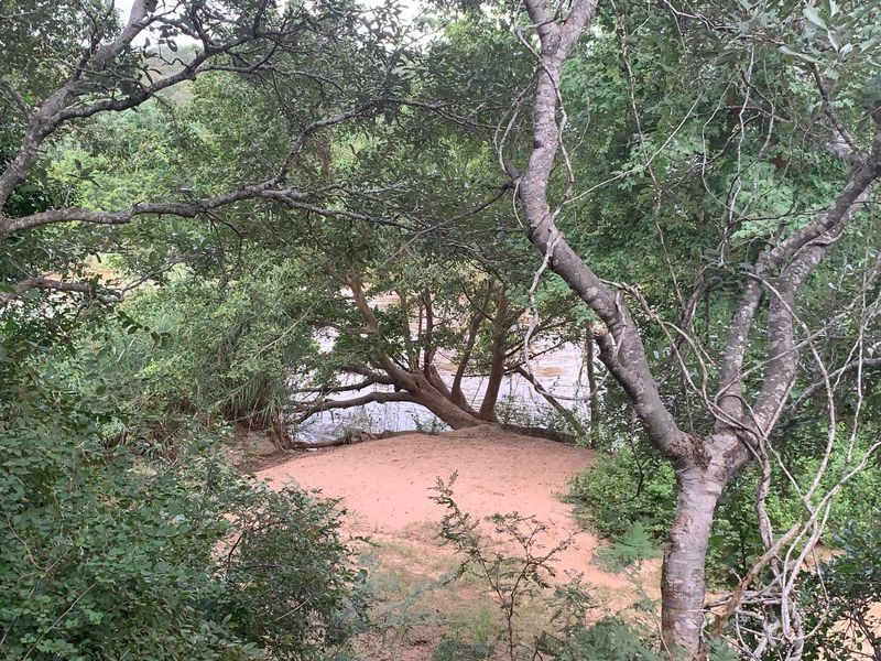 **Commercial Property on the Banks of the Olifants River for sale** - Photo 3