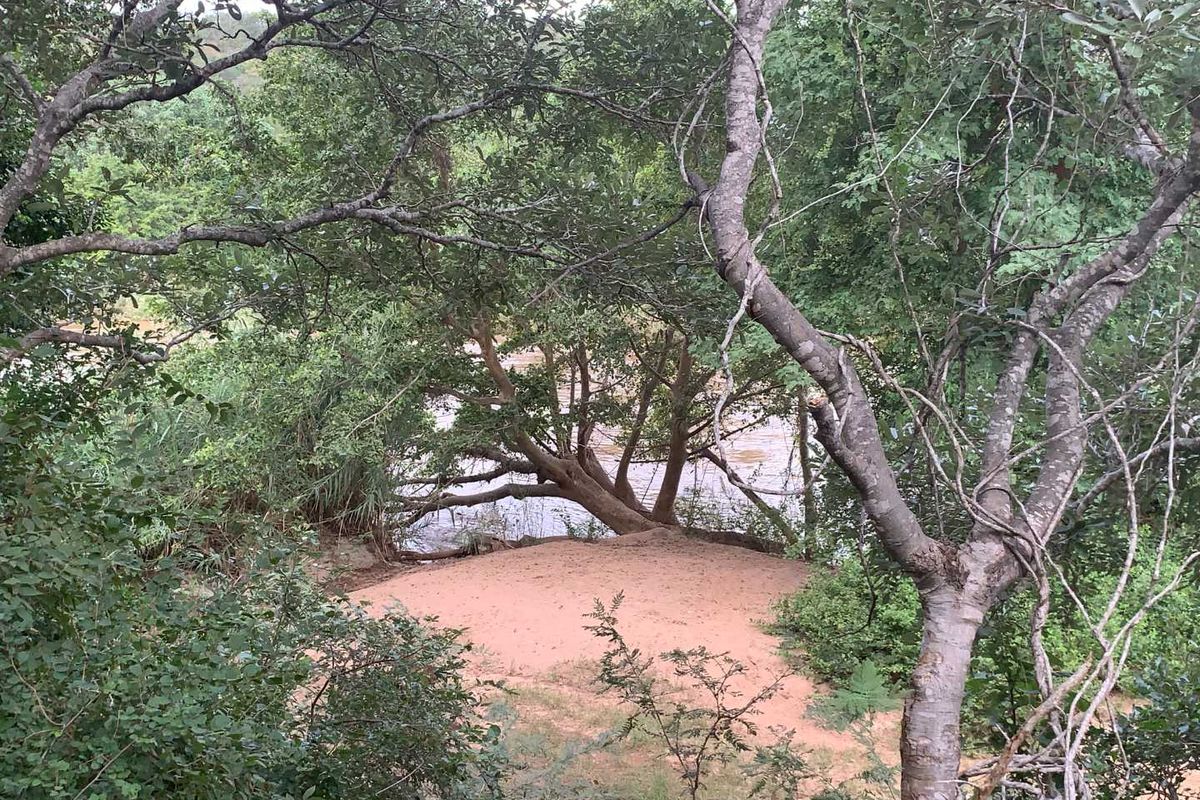 **Commercial Property on the Banks of the Olifants River for sale** - Photo 3