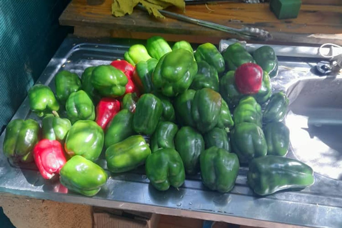 "Exceptional Farm for sale: Livestock, game & Luxury Living Combined - Photo 2