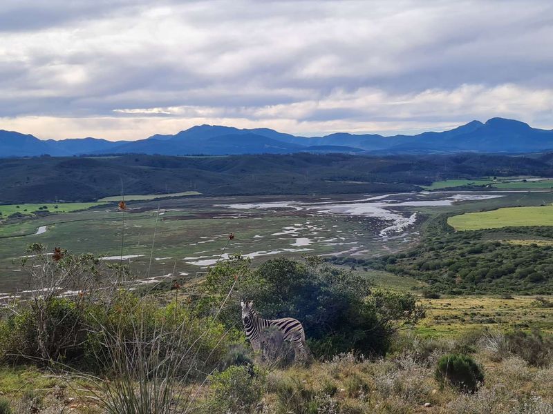 A scenic elevated view overlooking a vast natural landscape, wetlands, and distant mountain ranges.