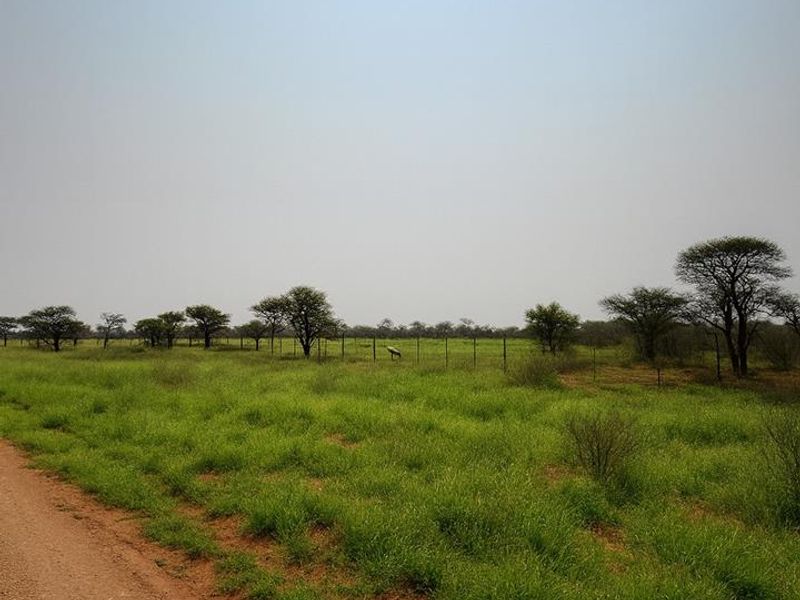 Move-in-ready 1,000ha farm within the municipal area — full ownership for foreign buyers (no waiver needed). - Photo 4