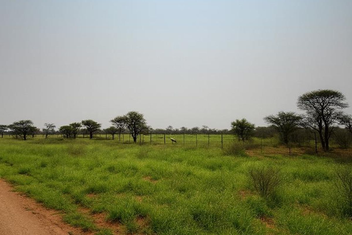 Move-in-ready 1,000ha farm within the municipal area — full ownership for foreign buyers (no waiver needed). - Photo 4