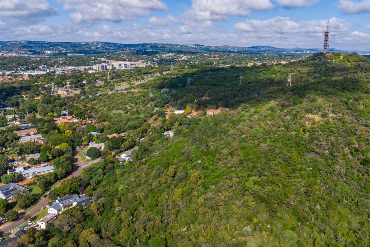 Hilltop Land For Sale - Photo 5