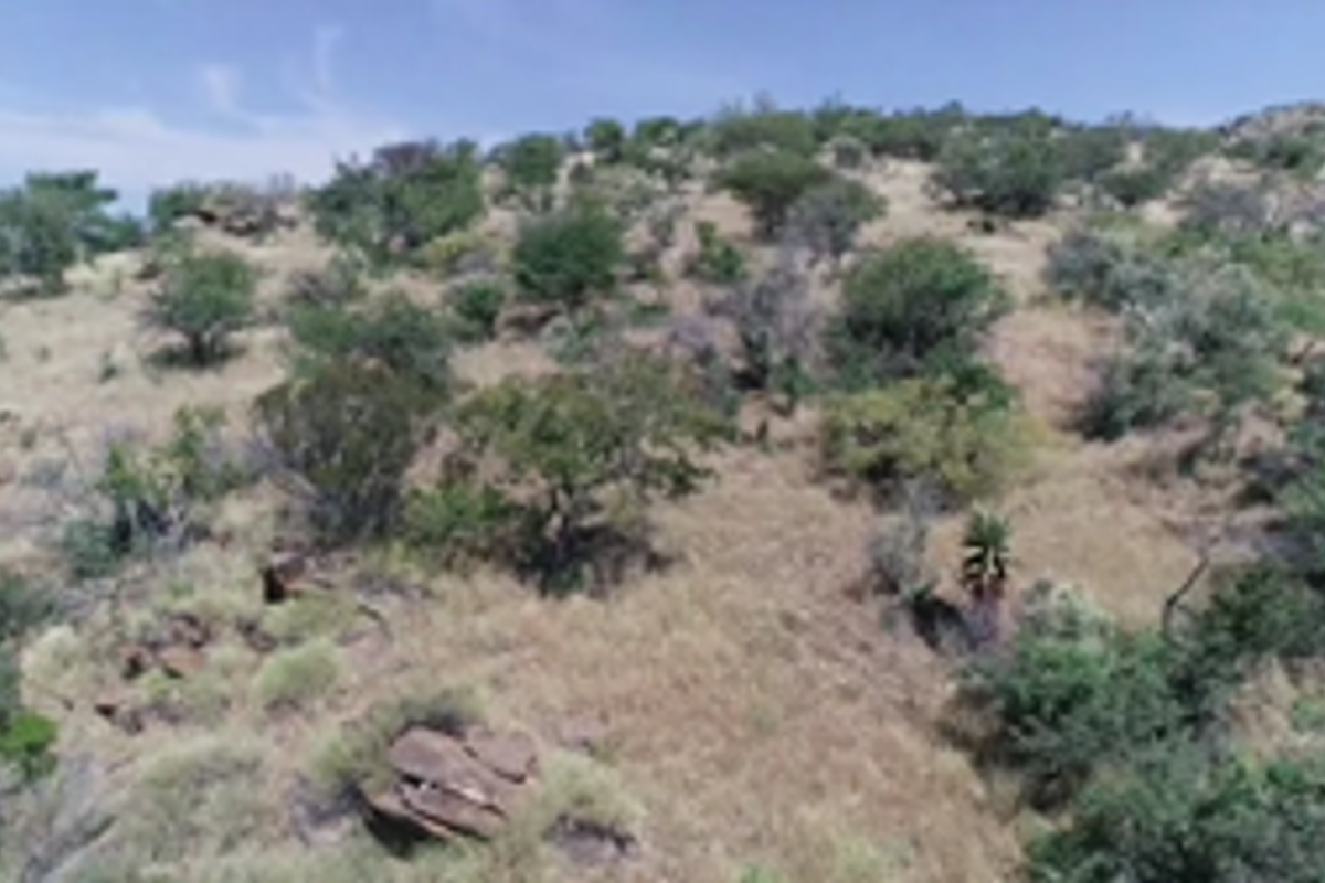 Plot For Sale Close to Windhoek - Photo 3