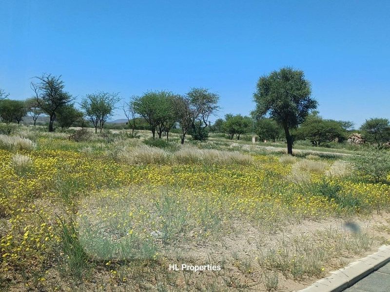 The erf is  well located and on a prime spot within the estate.  The Okahandja River as well as the picturesque Okahandja foothills make for the most beautiful - Photo 4