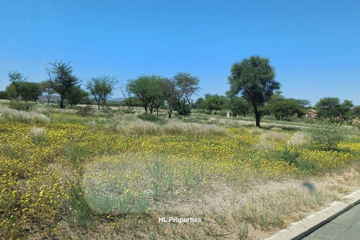 The erf is  well located and on a prime spot within the estate.  The Okahandja River as well as the picturesque Okahandja foothills make for the most beautiful - Photo 4