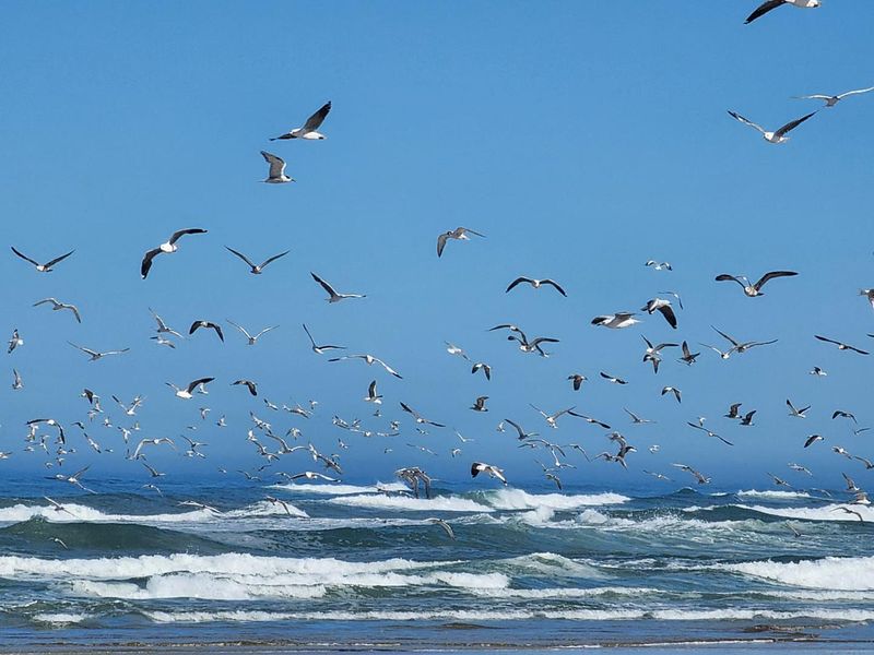 Prime Sea Views - Exclusive Vacant Stand - Grotto Bay’s Private Nature Reserve - Photo 10