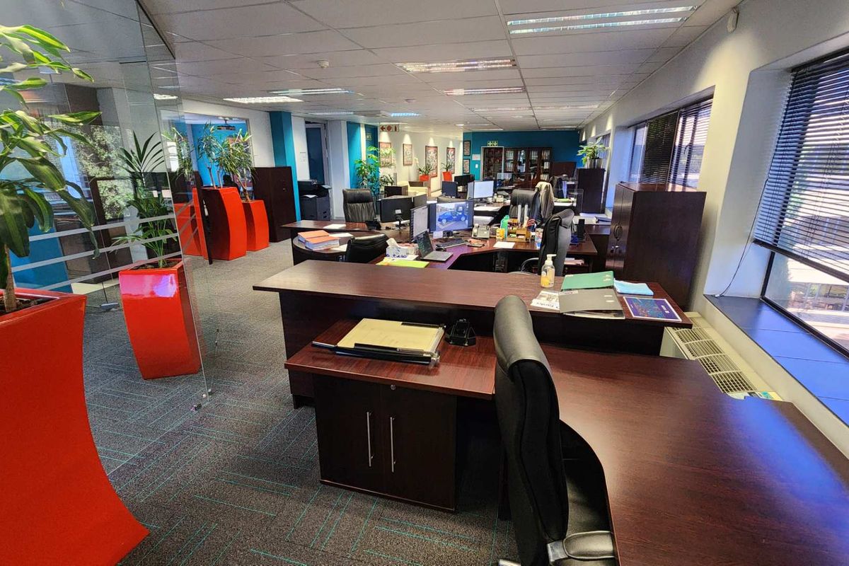 Spacious open-plan office area featuring suspended ceilings, recessed lighting, carpet tiles, and large windows with venetian blinds, providing a functional professional workspace.