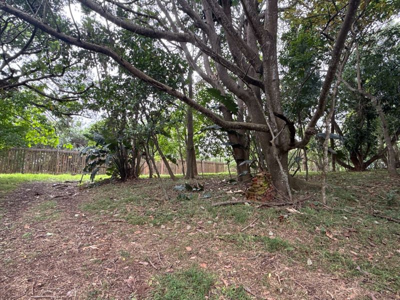 A view of a wooded residential plot featuring mature trees and established timber boundary fencing.