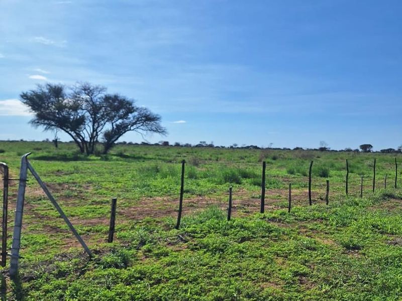 Cattle & Game Farm in the Hochfeld area. - Photo 10
