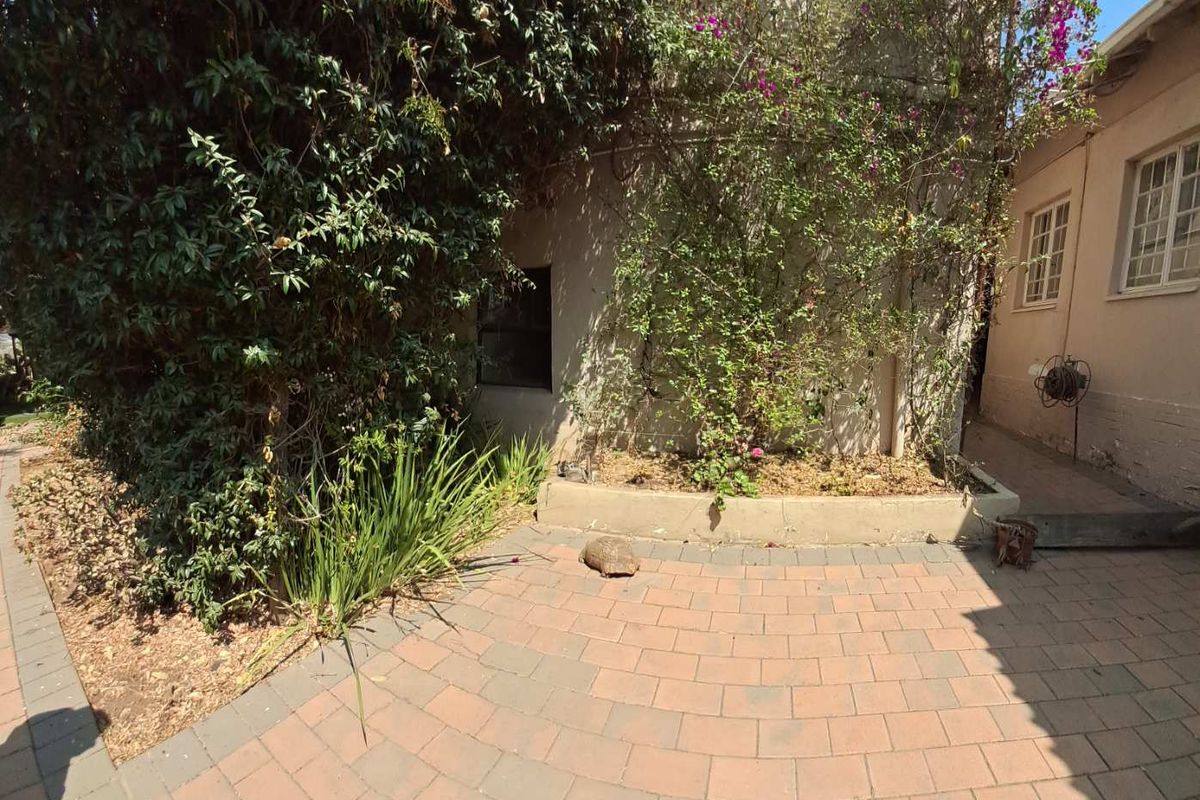 A paved rear courtyard area featuring established garden beds and climbing plants against the exterior wall of the house.