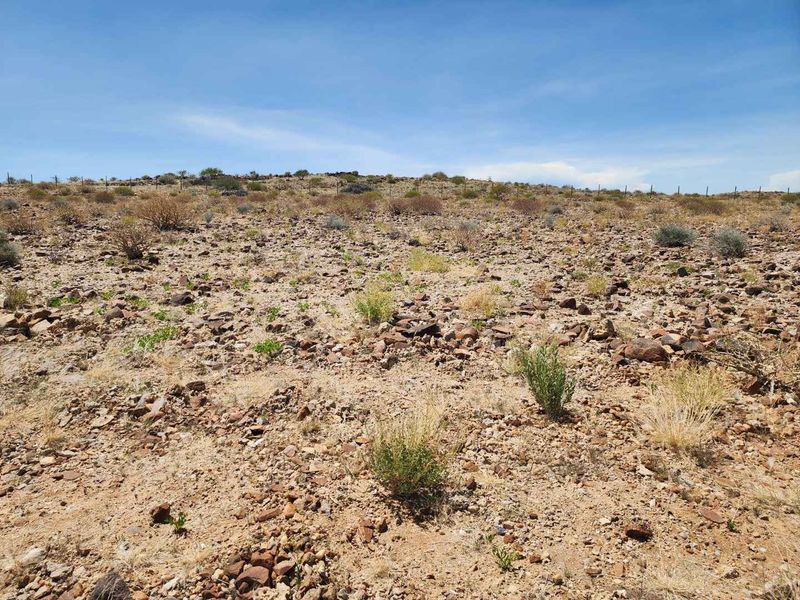 Uis:  Vacant Erven for sale in Moringa Estate - Photo 7