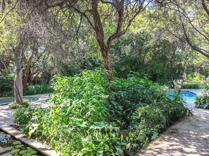 Exceptional Lodge-Style Residence with Cottages - Photo 4