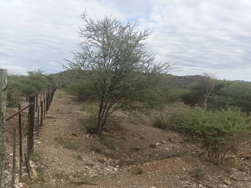 5 HECTARES FARM STYLE PLOT FOR SALE- FARM NARUXHAS - Photo 2